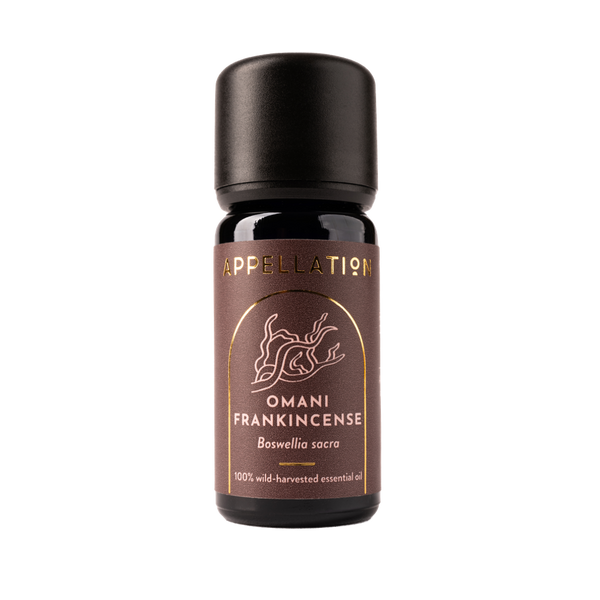 Omani Frankincense | Wild-harvested Essential Oil, 10ml